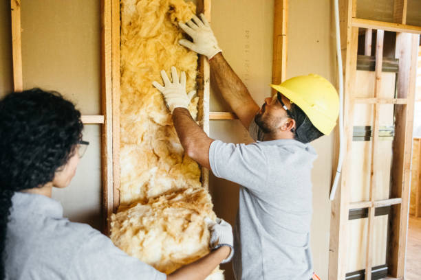 Best Wall Insulation Installation  in Fredericksburg, VA